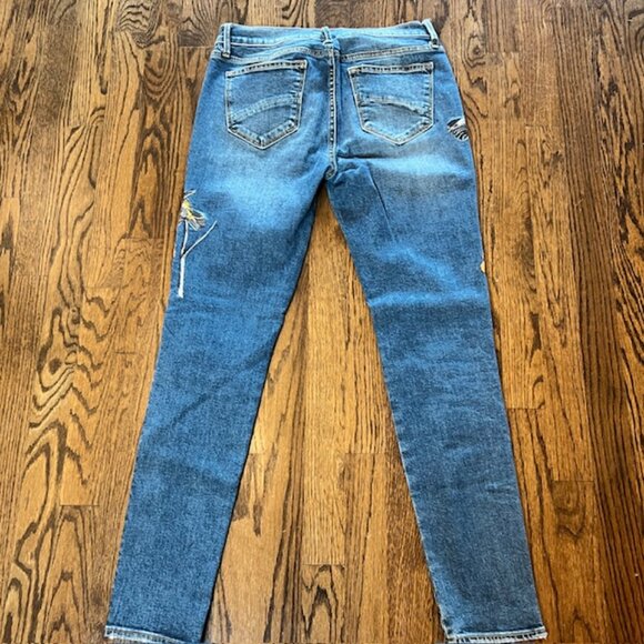 Driftwood Jackie Skinny Jeans Women’s Size 27 Blue Bird Embroidered Denim - Picture 3 of 10